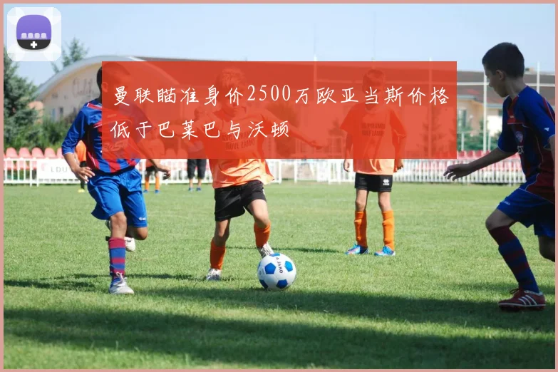曼联瞄准身价2500万欧亚当斯价格低于巴莱巴与沃顿