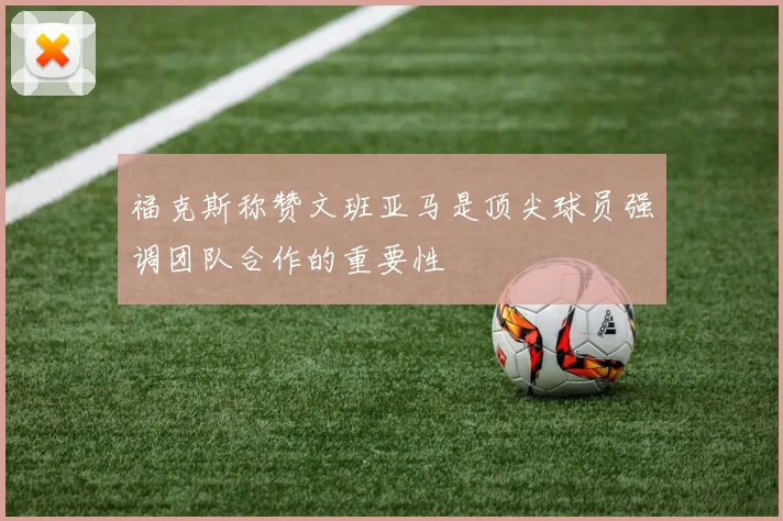 福克斯称赞文班亚马是顶尖球员强调团队合作的重要性