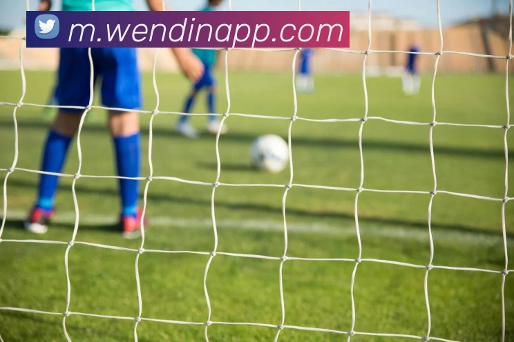 App Interface Preview